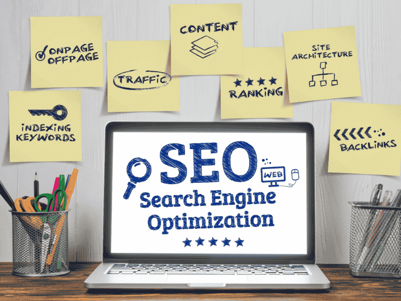 seo specialist
